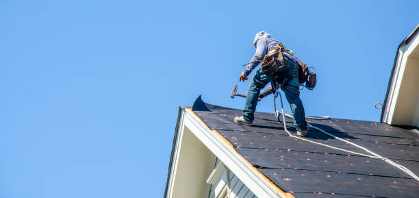 Roof Gutter Cleaning in Baxter Springs, KS